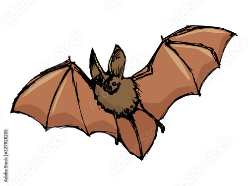 Vector illustration of flying bat