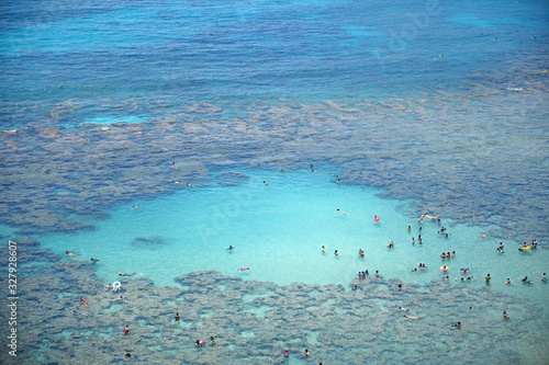 Coral Reef of hanauma bay ad Honolulu, O'ahu island Hawaii