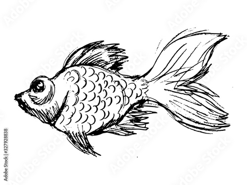Vector illustration of goldfish
