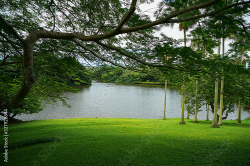 A Tropical Garden With a Beautiful Lake In O'ahu, Hawaii