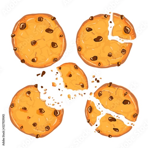 Homemade choco chip cookies with chocolate crisps isolated on white background. Bitten, broken, cookie crumbs. Vector illustration