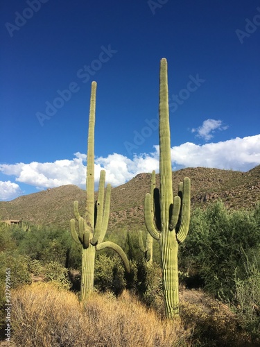 Phoenix Arizona scenery © Douglas