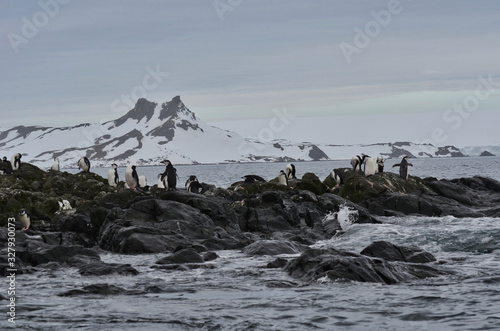 Antarctica View of Rocks in the Ocean and a Mountain Background with Chinstrap Penguins