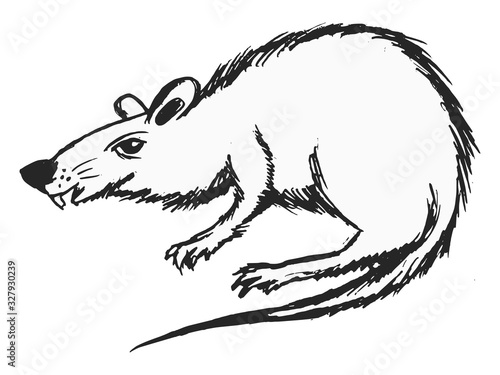 Vector illustration of toothy rat