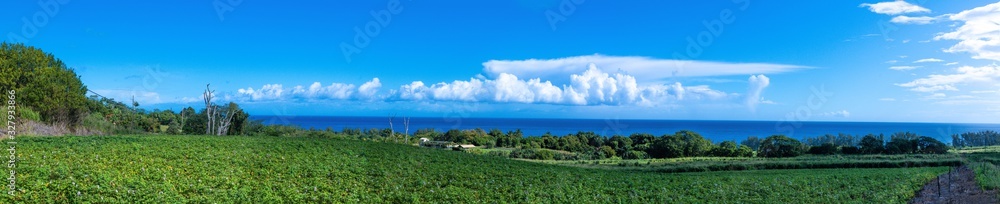 Panoramic view of a flowery landscape near the sea on the east coast of Big Island Hawaii
