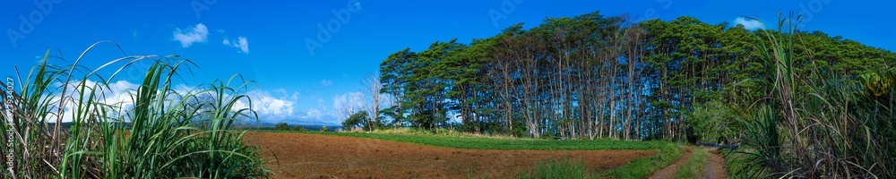 Panoramic view of a landscape in north east Big Island Hawaii Panoramic view of a landscape in north east Big Island Hawaii