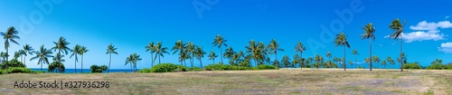 Panoramic view of palms in Ko'Olina Oahu Hawaii  © Guy