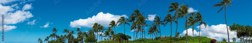 Panoramic view of palms in Ko'Olina Oahu Hawaii 