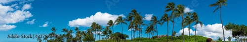 Panoramic view of palms in Ko Olina Oahu Hawaii 