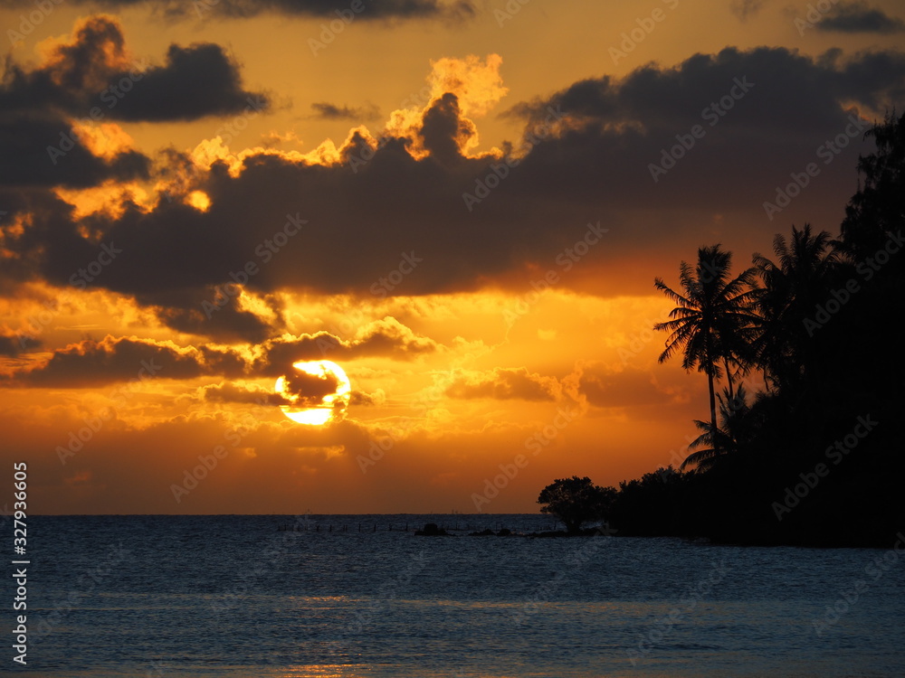 French Polynesia - Rangiroa: Sunset with Palm