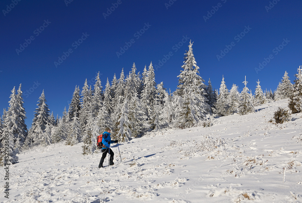 a man with backpack in the forest in winter