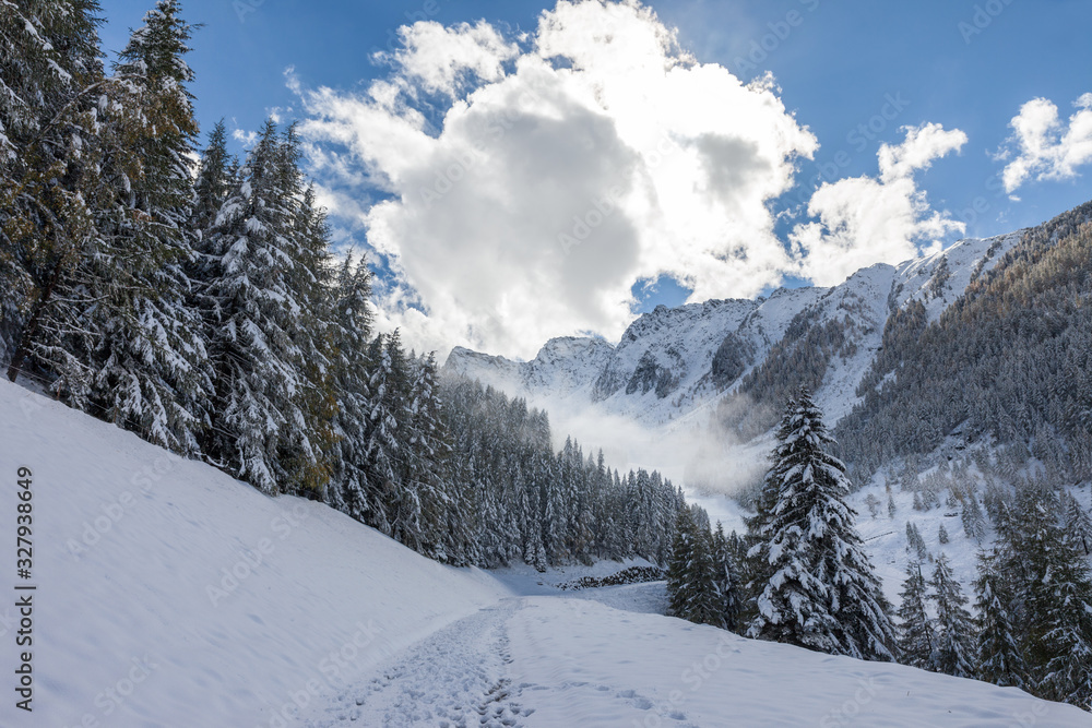 Winterlicher Wanderweg