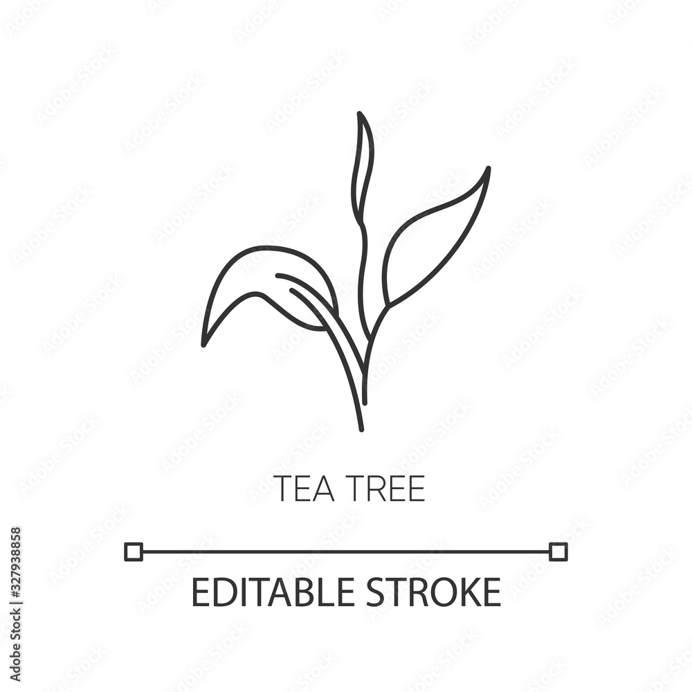 Tea tree pixel perfect linear icon. Skincare product component. Organic beauty. Herbal moisture. Thin line customizable illustration. Contour symbol. Vector isolated outline drawing. Editable stroke Tea tree pixel perfect linear icon. Skincare product component. Organic beauty. Herbal moisture. Thin line customizable illustration. Contour symbol. Vector isolated outline drawing. Editable stroke