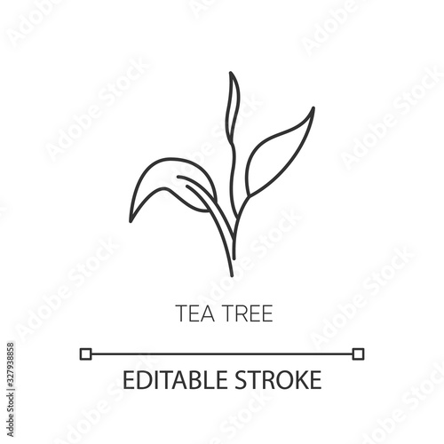 Tea tree pixel perfect linear icon. Skincare product component. Organic beauty. Herbal moisture. Thin line customizable illustration. Contour symbol. Vector isolated outline drawing. Editable stroke