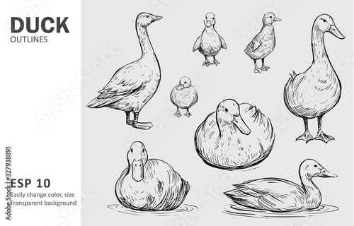 Fototapeta Outline ducks with ducklings