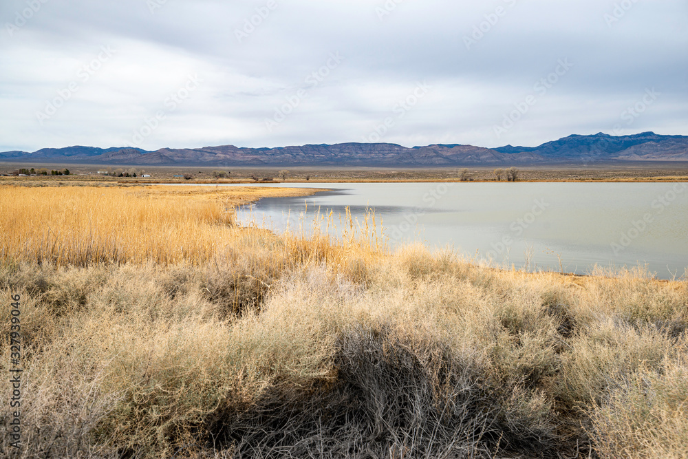 Frenchy Lake at Key Pittman Wildlife Management Area. A large wetland, biriding , and hunting area in White River Valley outside Hiko, Lincoln County, Nevada.