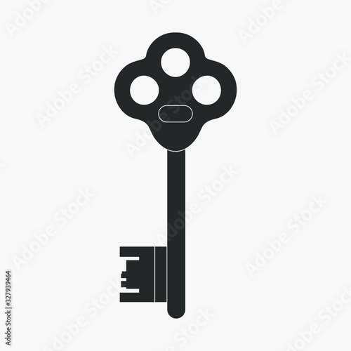 Vector Key icon on white ba...