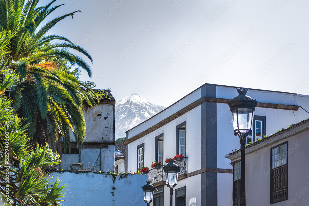 Beautiful old city with rare dragon tree and view on volcano Teide with snow on the top. Green town on Tenerife island. Dracaena tree in landscape on Canary islands. Popular landmarks for vacation.