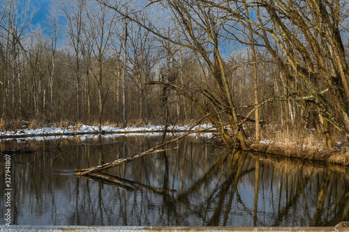 Winter lake reflection