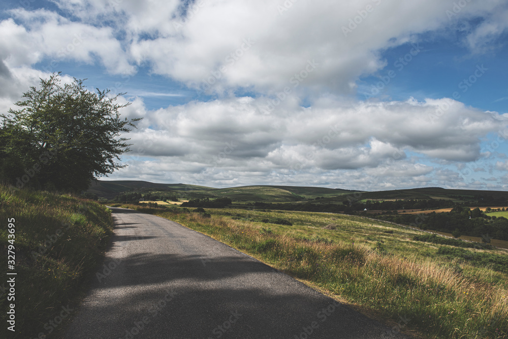 Bellever Woods - Dartmoor National Park - UK