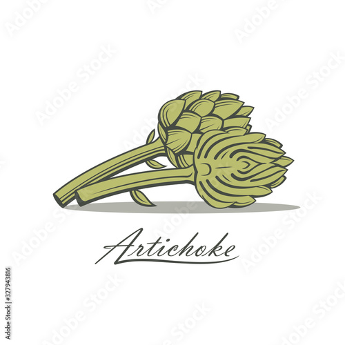green artichoke bud vegetable illustration isolated on white background