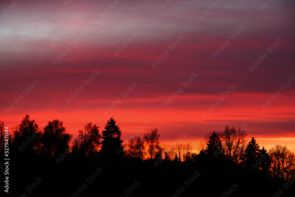 Red sky and dark forest at sunset