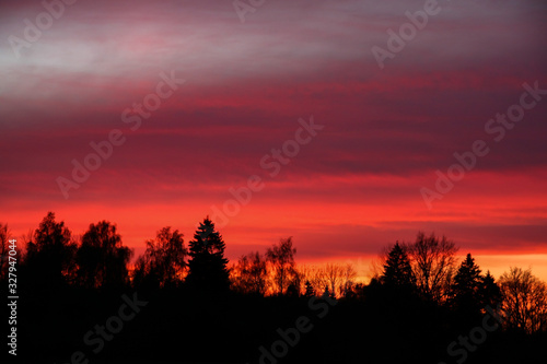 Red sky and dark forest at sunset