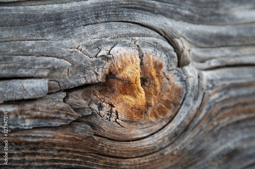 Wallpaper Mural close up of a wooden texture Torontodigital.ca