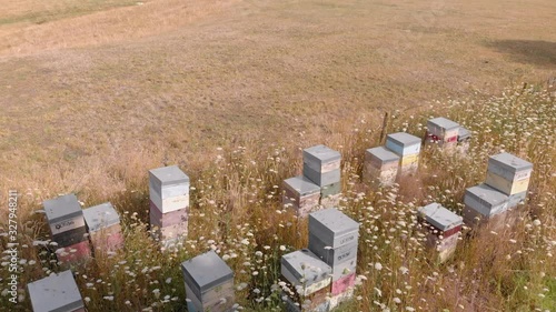 Typical New Zealand beehives, Manuka Honey photo