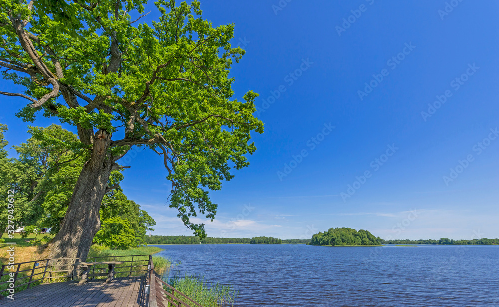 Beautiful green nature landscape of Europe Beautiful green nature landscape of Europe