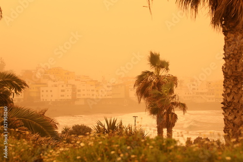 Palm trees and buildings on the beach of canarian island. Calima sand wind with dust from Africa. Calima sandstorm on Canary Islands. Tenerife  Puerto de la Cruz  Playa Jardin.