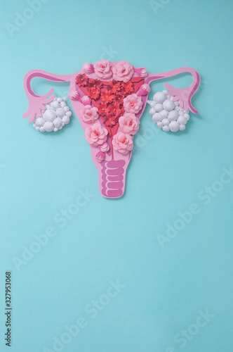 Concept polycystic ovary syndrome, PCOS. Copy space, women reproductive system