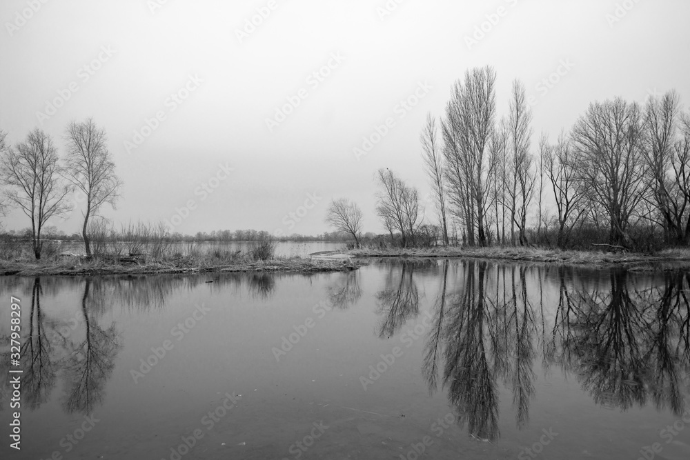 black and white photographs of trees by the river in early spring black and white photographs of trees by the river in early spring
