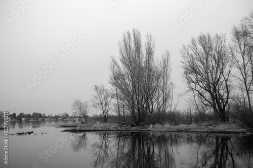 black and white photographs of trees by the river in early spring