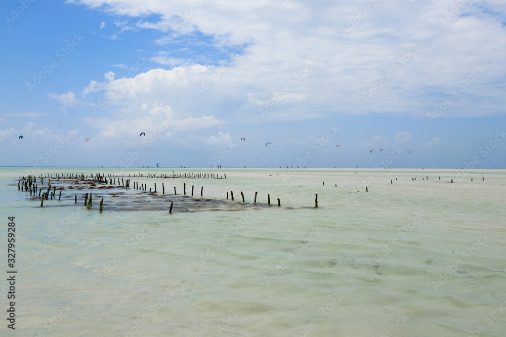 Seaweed cultivation on beach, Zanzibar, Tanzania