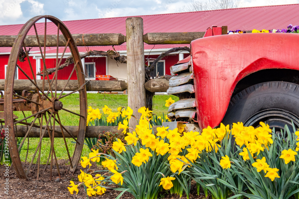 Spring Flowers Blooming Around Classic Cars in the Pacific Northwest Spring Flowers Blooming Around Classic Cars in the Pacific Northwest