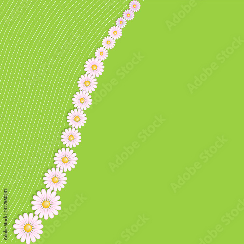 Floral background with daisies. Invitation, print card, blank vector