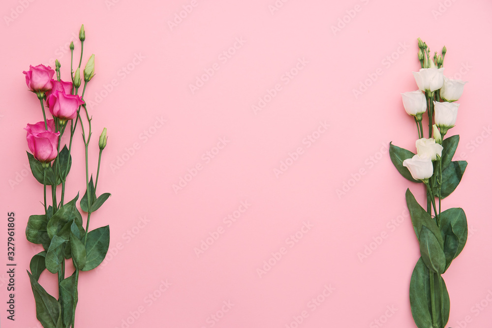 Blumen Rahmen freigestellt auf pinken Hintergrund