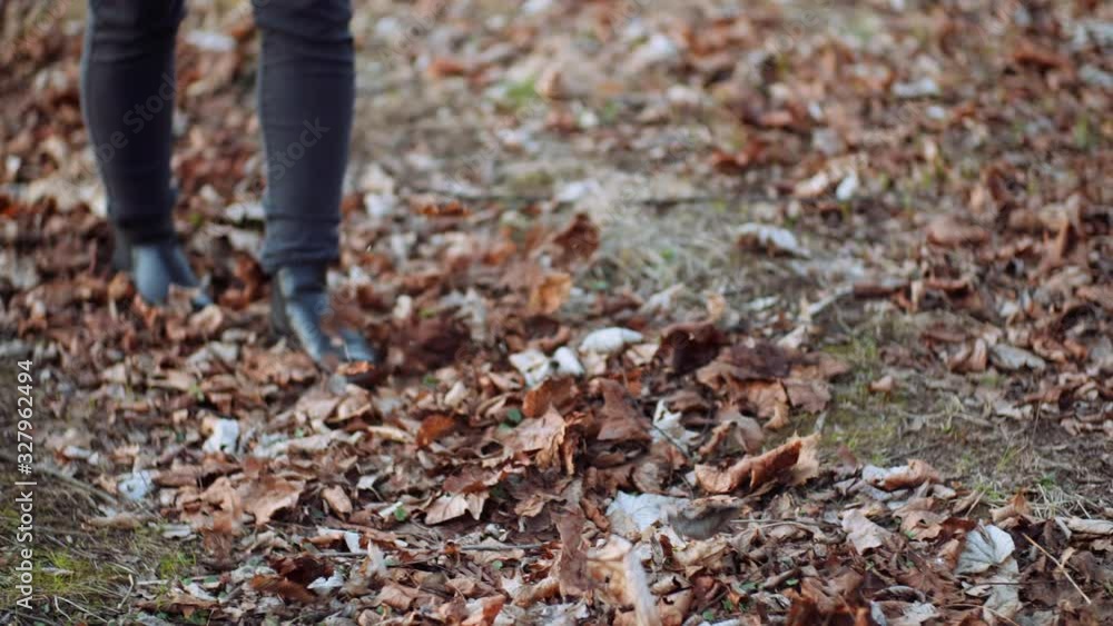woman walking on golden leaves in autumn woman walking on golden leaves in autumn
