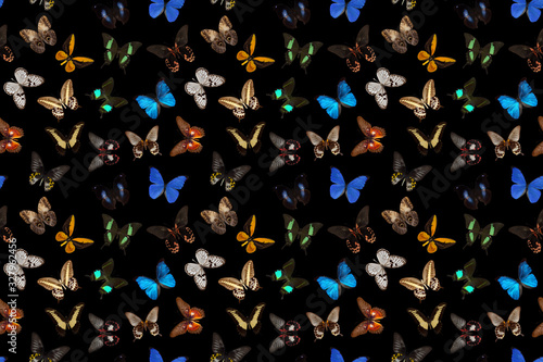Naklejka seamless colorful butterfly pattern on a black background