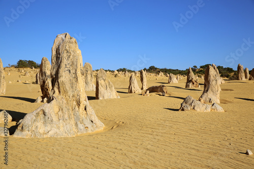 Pinnacles im Nambung Nationalpark. Westaustralien