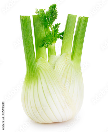 Fresh fennel bulb on white background photo