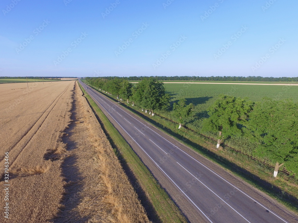 Naklejka premium Road through agricultural fields goes beyond the horizon, Krasnodar region, Russia