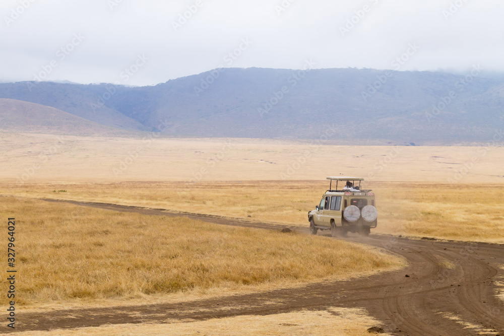 Dirt road on Ngorongoro crater, Tanzania landscape