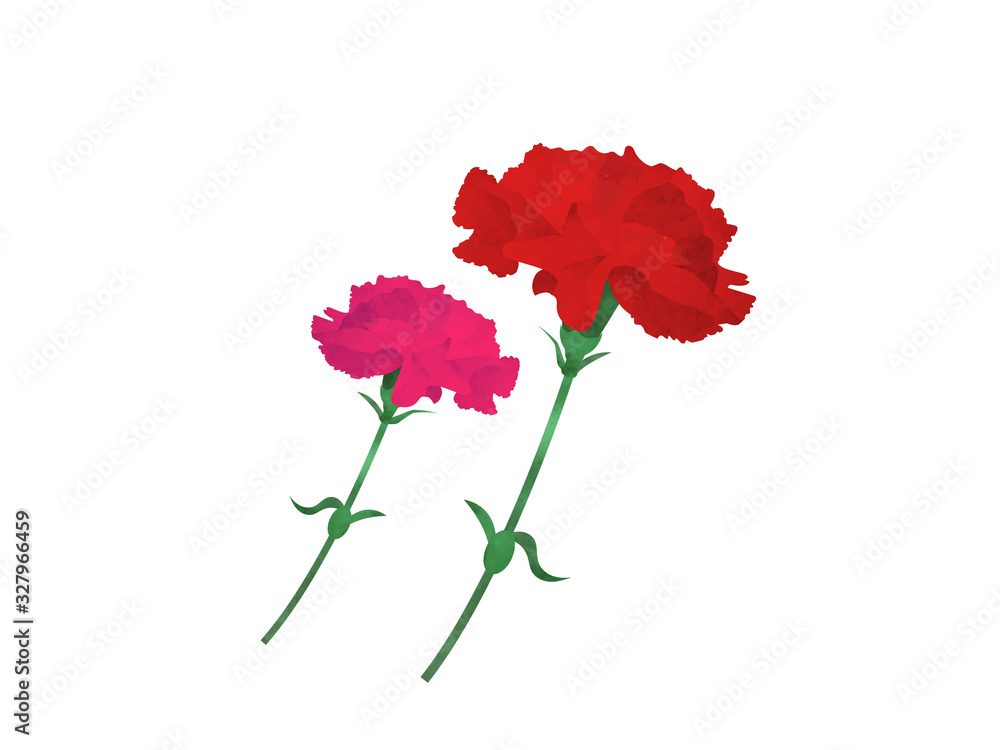 綺麗な赤色をしたカーネーションのイラスト Stock Vector Adobe Stock