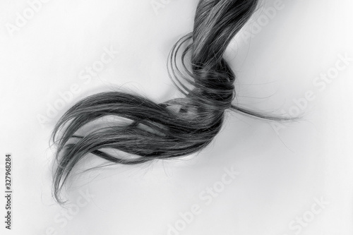 Swirled black hair on white. Disheveled tail © MAKOVSKY ART