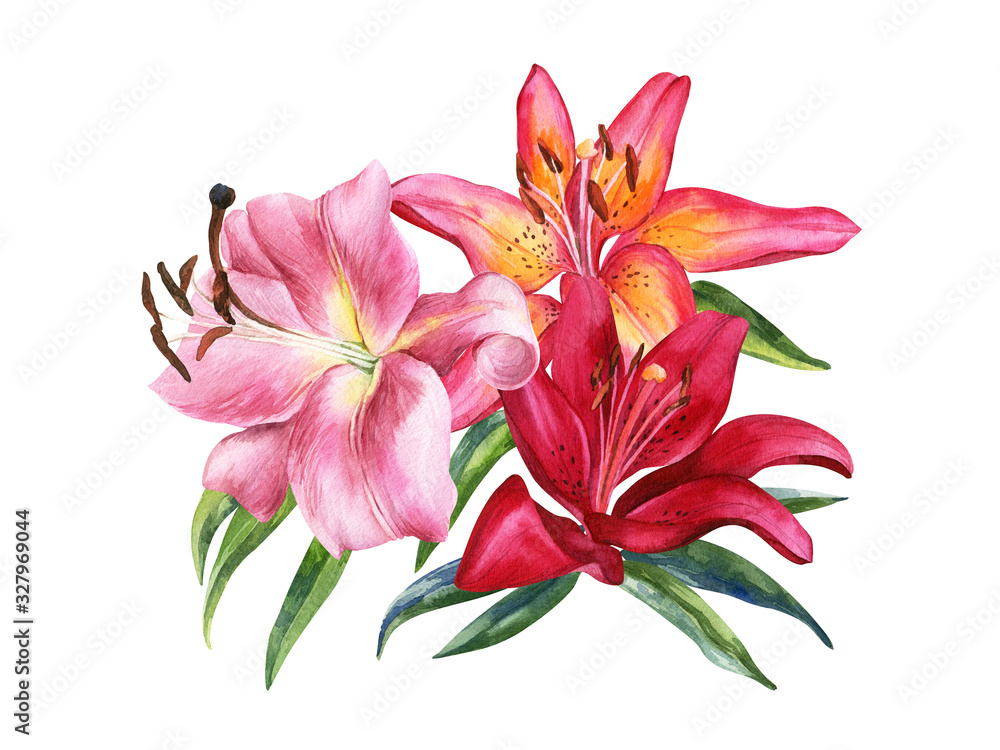 Bouquet of watercolor lily, red, pink lilly flowers on an isolated white background, watercolor flower, stock illustration.