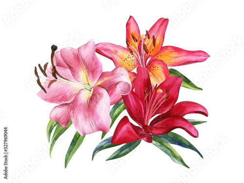 Bouquet of watercolor lily, red, pink lilly flowers on an isolated white background, watercolor flower, stock illustration.