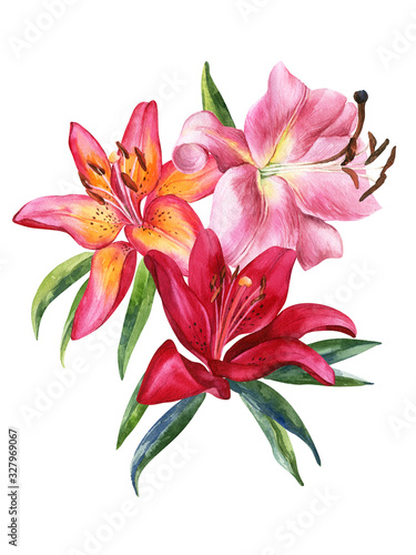 Fototapeta Naklejka Na Ścianę i Meble -  Bouquet of watercolor lily, red, pink lilly flowers on an isolated white background, watercolor flower, stock illustration.