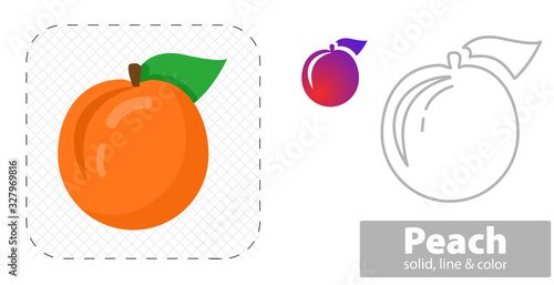 peach vector illustration flat  solid  line icon